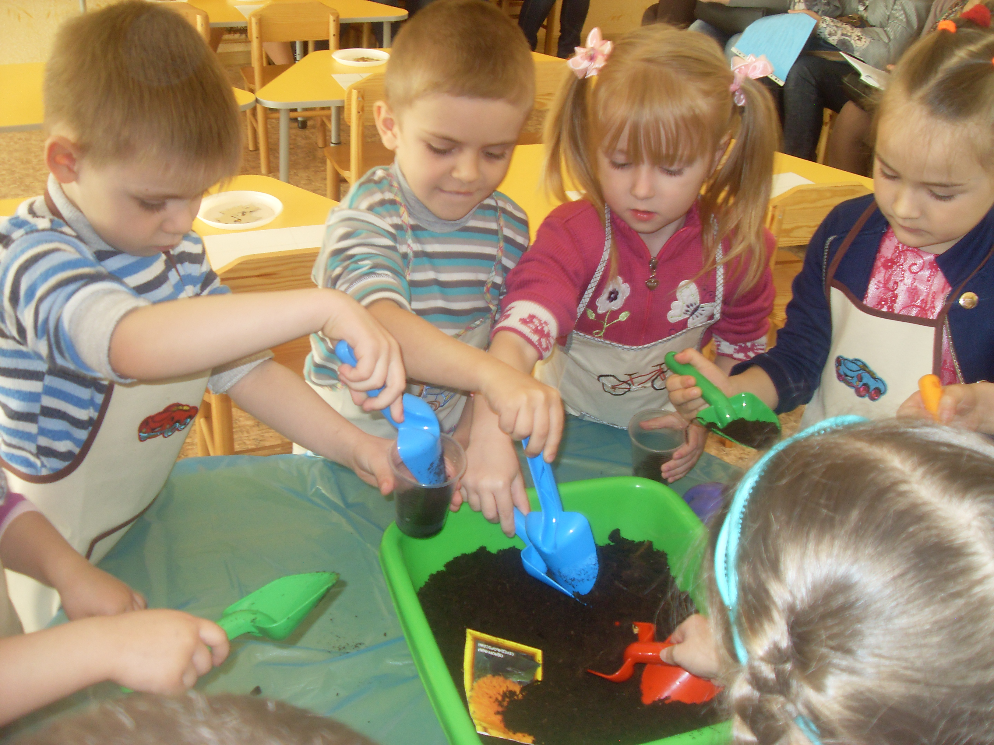 SDC16639.JPG — 3.70 Mб