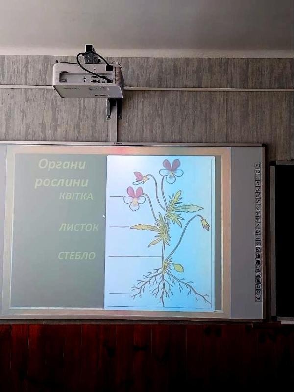 ліцей_1.jpg — 72.15 Kб